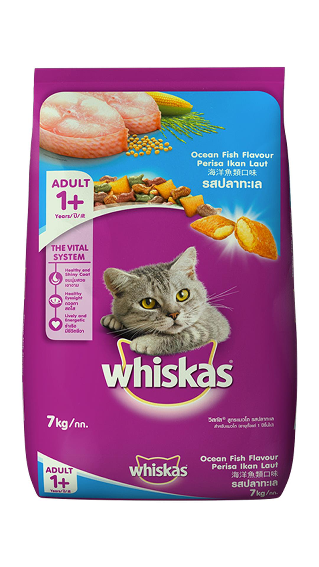 Same Brand Different Flavor Cat Food Same Brand Different Flavor Cat Food