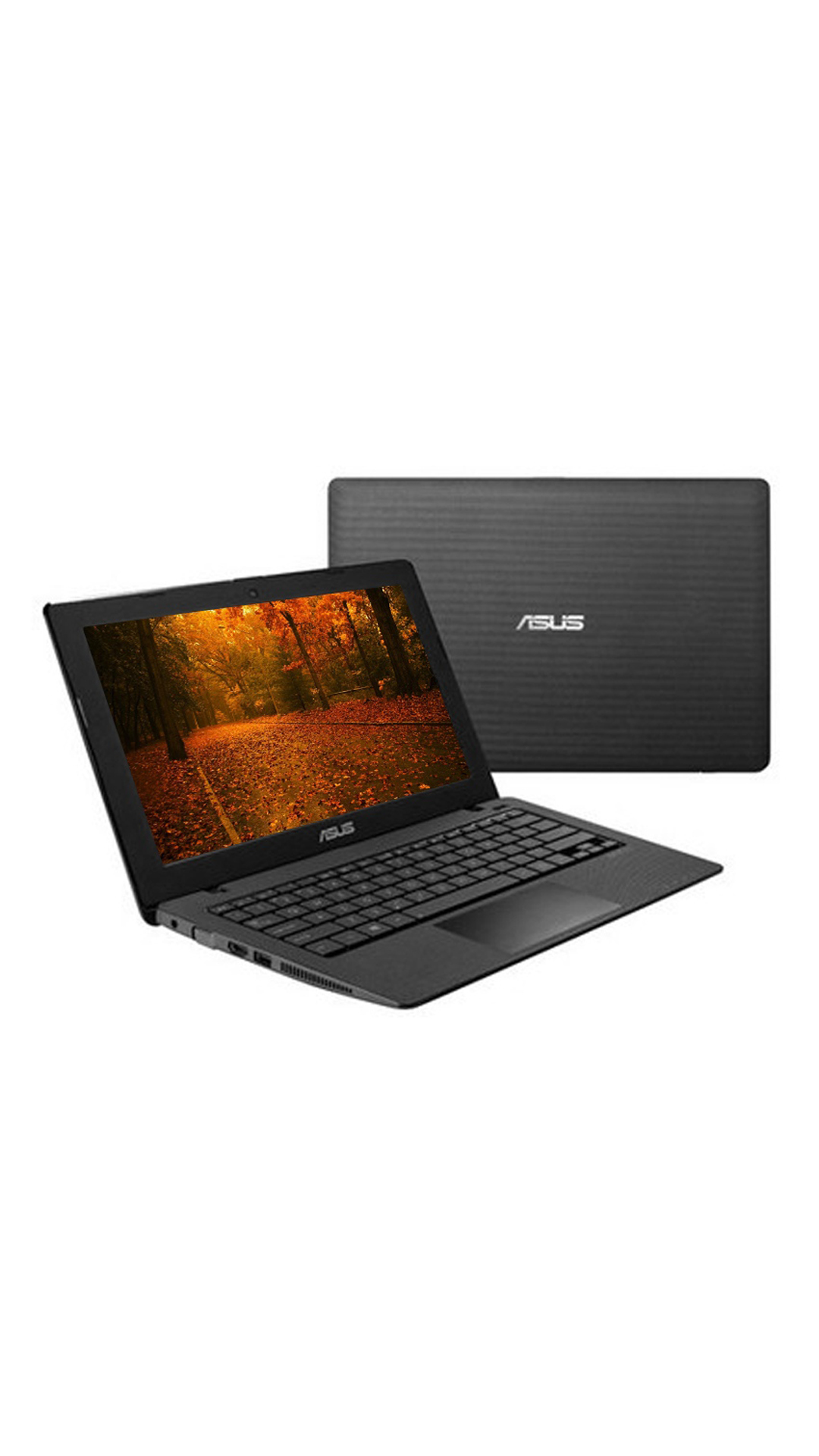 buy asus x200ma kx238d netbook celeron dual 2gb ddr3 buy asus x200ma kx238d netbook celeron dual 2gb ddr3