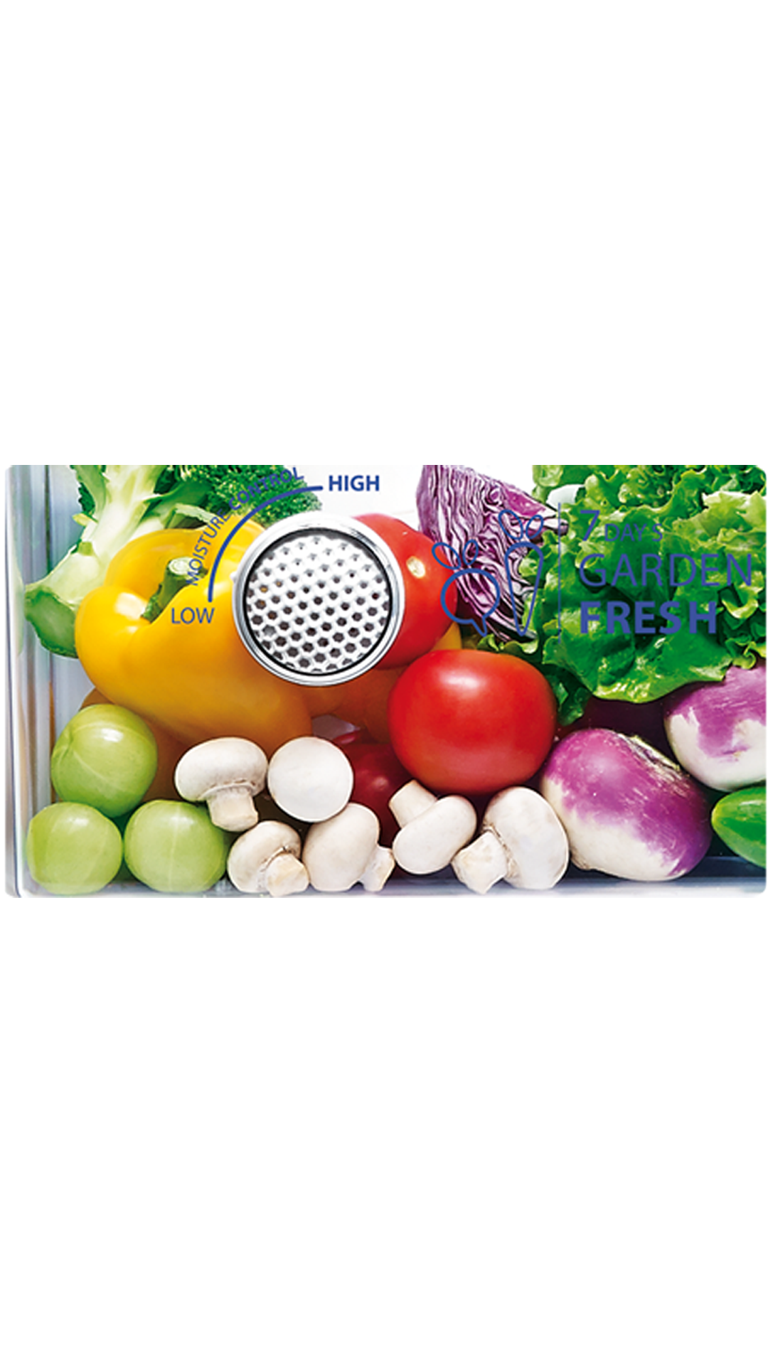 Whirlpool 205 ICEMAGIC POWERCOOL PRM 5S EXOTICA 190 L Single Door Refrigerator (Sapphire Exotica)
