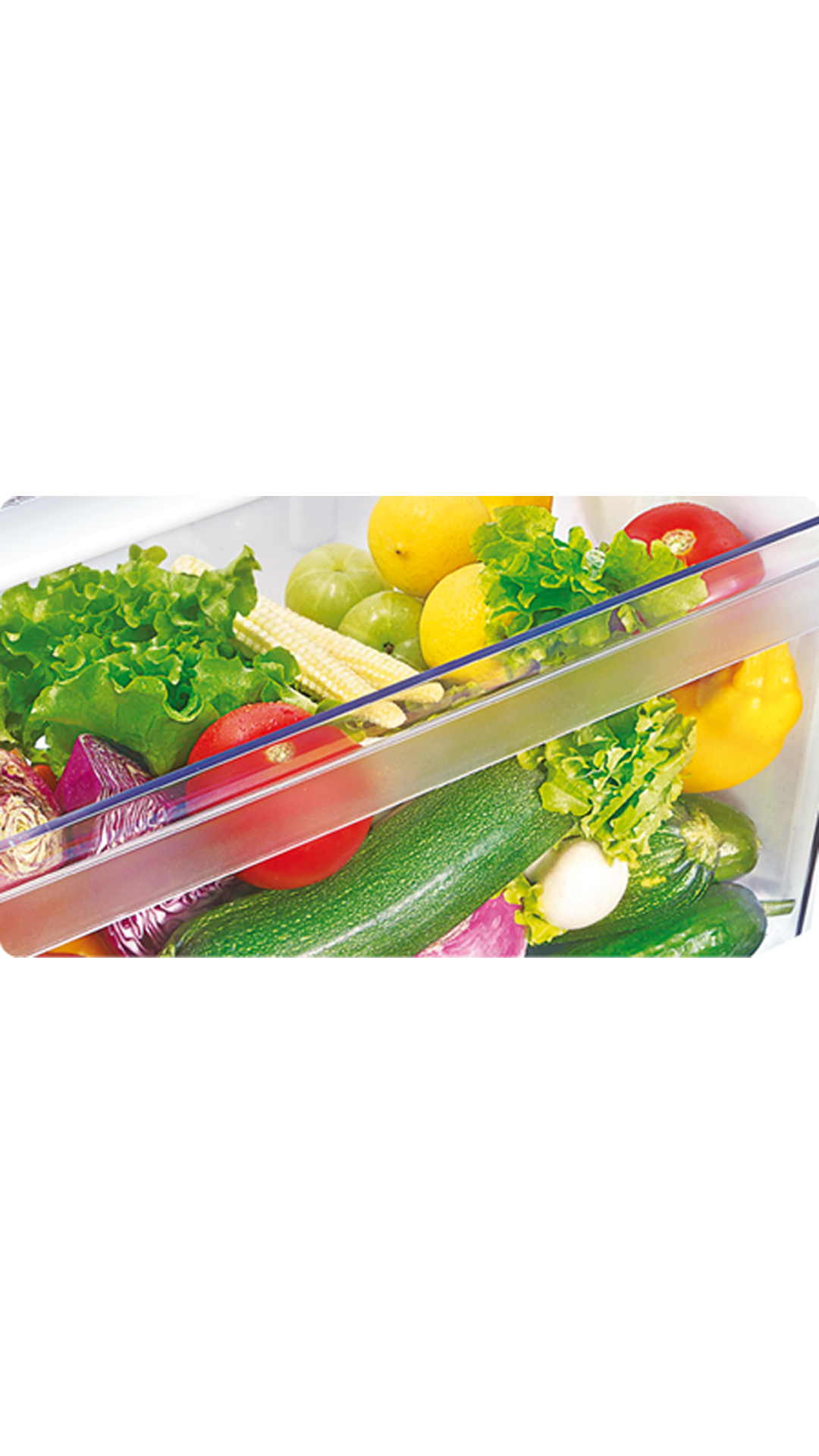 Whirlpool 205 ICEMAGIC POWERCOOL PRM 5S EXOTICA 190 L Single Door Refrigerator (Sapphire Exotica)
