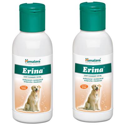 paytm com must haves pet foods grooming paytm com must haves pet foods grooming