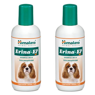 paytm com pet supplies paytm com pet supplies