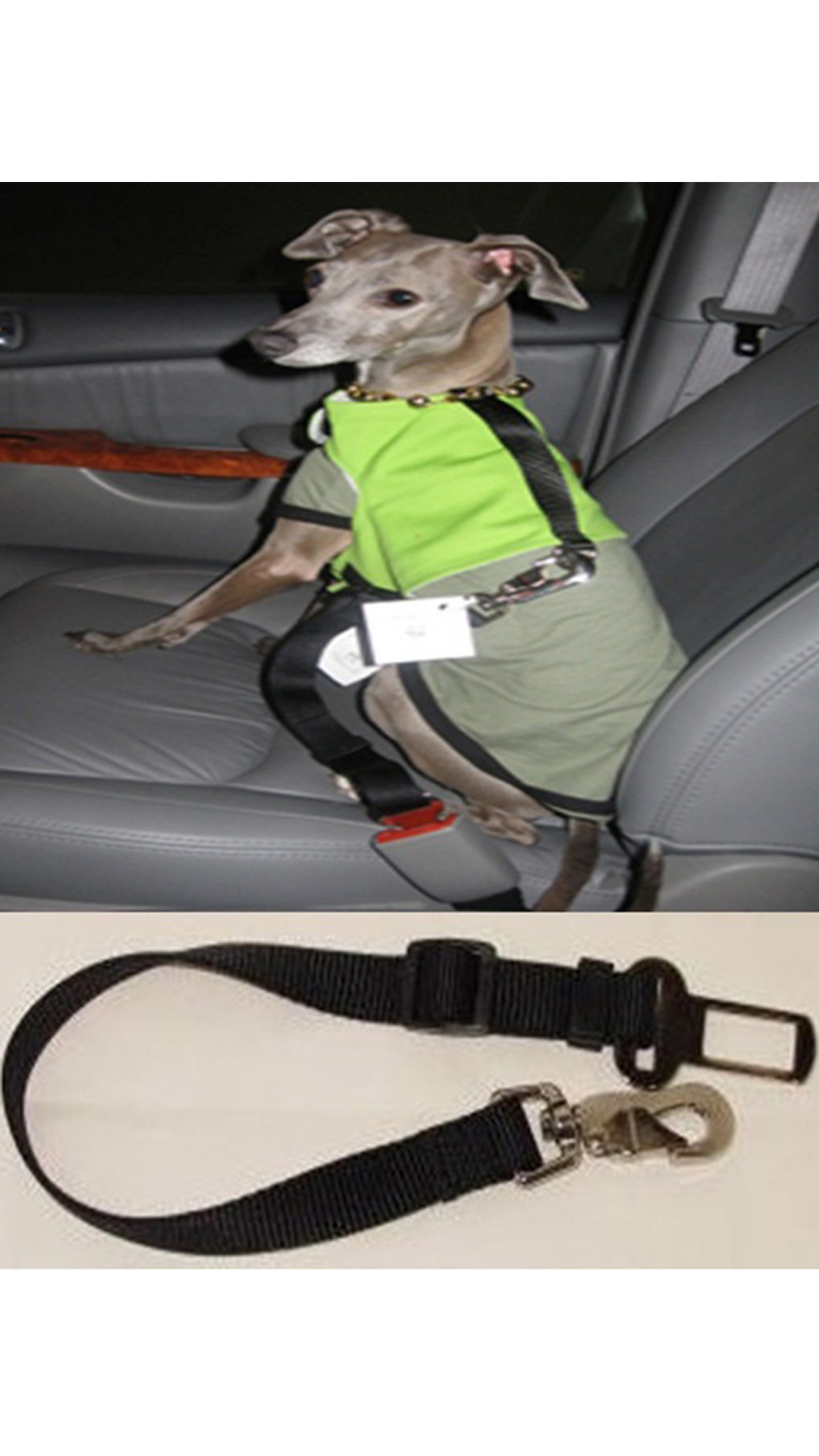 Dog Car Seat Belt India Noten Animals Nap Pet India Dogs Saftey Car Seat Belt At Low S